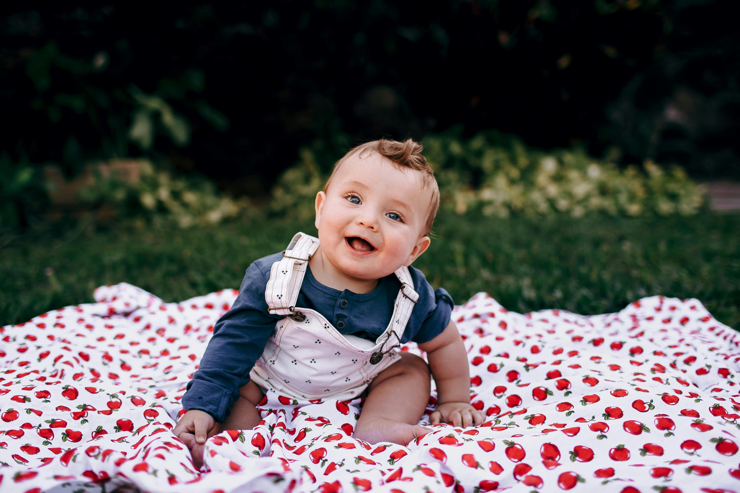Bebés
