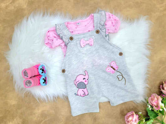 Conjunto bebé niña overol (2 piezas)